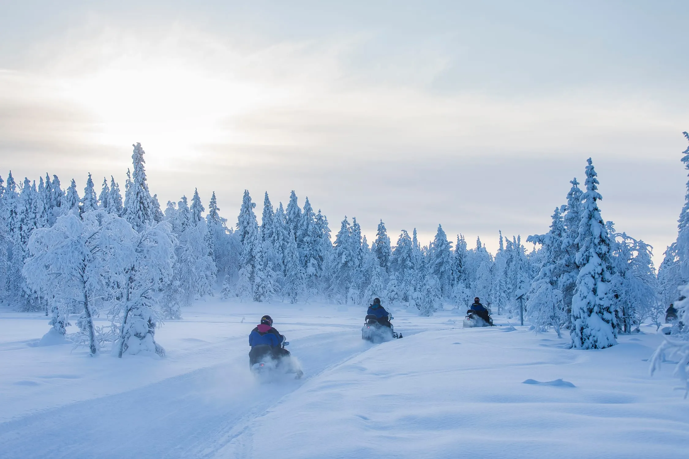 Snowmobile διασχίζουν χιονισμένο δάσος